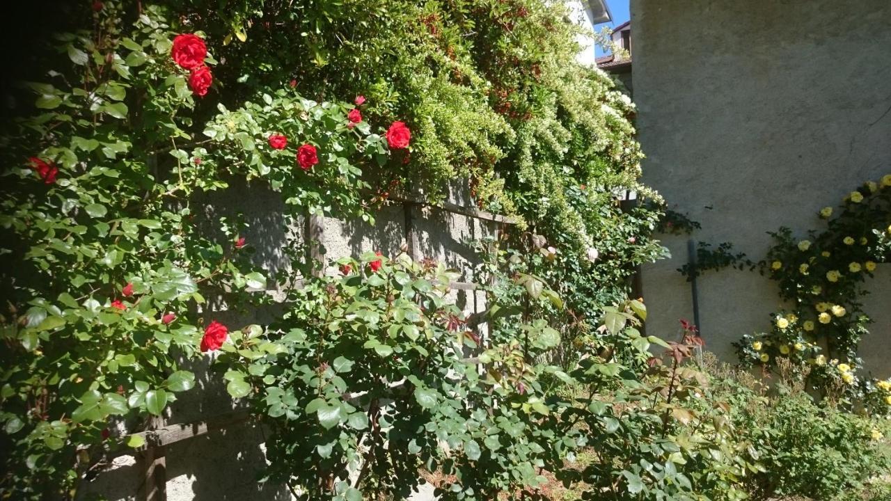 B&B Barbaia Levice Bagian luar foto